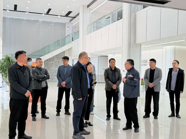 县人大联合指导组莅临鳄鱼尼卡集团指导工作！