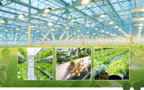 睿智水培卷材涂料：零甲醛零VOC，耐碱耐浸泡，打造饮用水级环保涂层