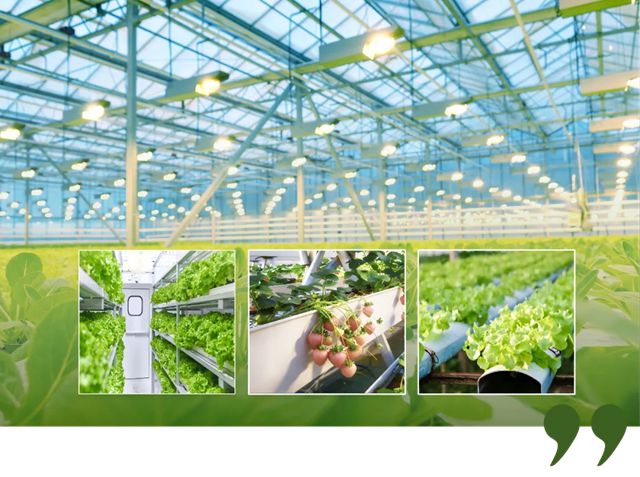 睿智水培卷材涂料：零甲醛零VOC，耐碱耐浸泡，打造饮用水级环保涂层