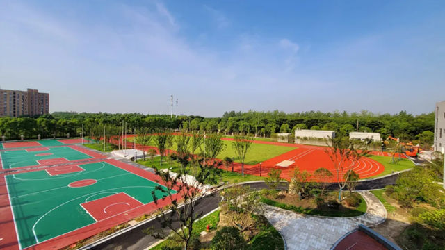 运动场地的“绿色革命”：北新水性跑道，以无味环保重新定义安全标准