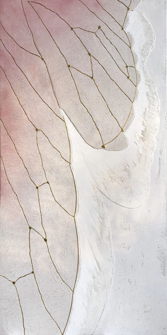 Novacolor 2026年度品牌形象大使揭晓：光的间隙，十位大师带来了什么？