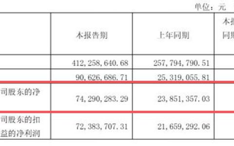 从全年亏9205万到单季赚7429万：坤彩科技的“盐酸萃取法”护城河有多深？