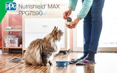 首款！全球涂料巨头PPG王炸级新品面世