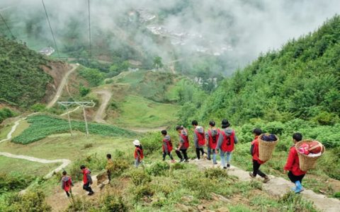 五年前，一只蝴蝶在嘉宝莉扇动了翅膀