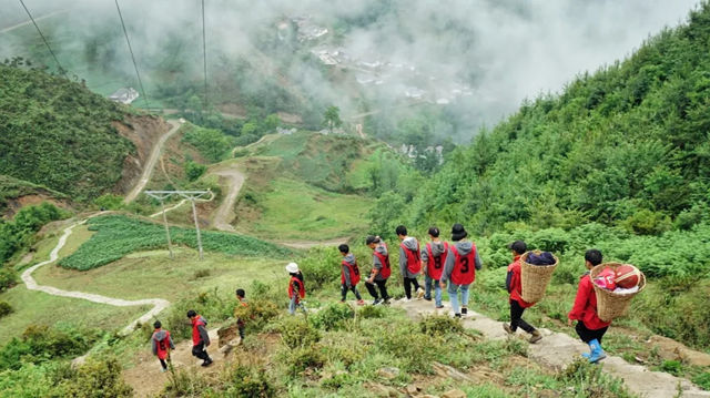 五年前，一只蝴蝶在嘉宝莉扇动了翅膀