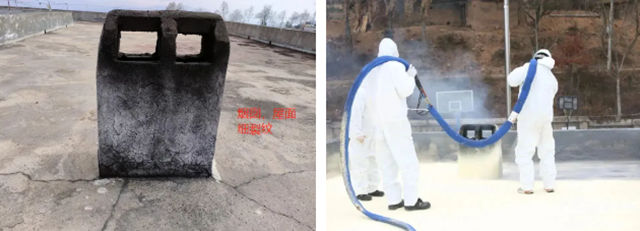 五年前，一只蝴蝶在嘉宝莉扇动了翅膀