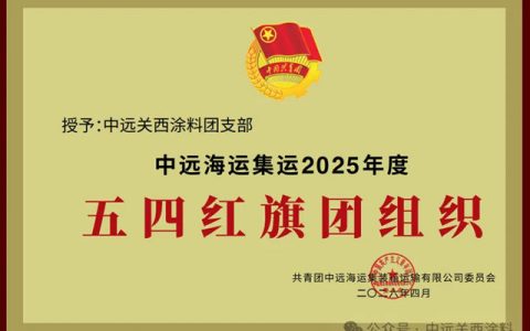 中远关西团支部及优秀青年获评多项荣誉