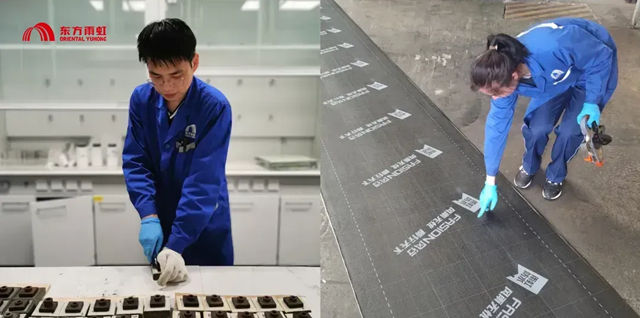 东方雨虹青年以新质生产力，启航 “十五五” 新征程