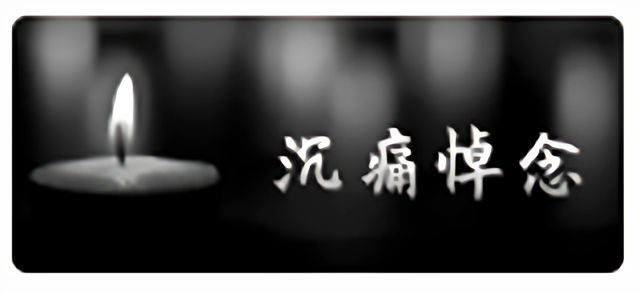 悼念｜沉痛悼念深切缅怀广东省涂料与油墨行业协会名誉会长何炳福先生
