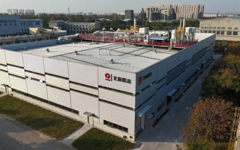 中国品牌日丨北新涂料以国漆品筑未来