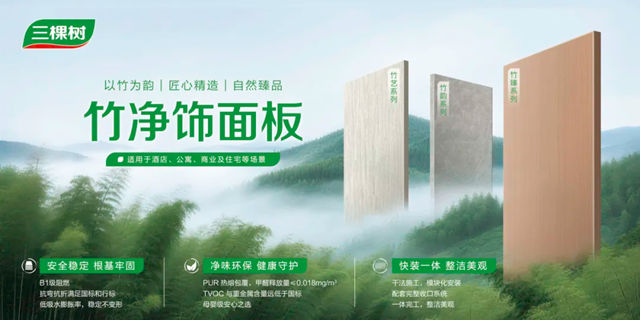 新战略 新格局 新征程｜2026年三棵树工程板材招商会圆满举办