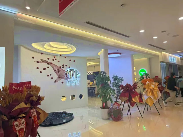 德爱威石家庄红星美凯龙艺术漆形象店盛大开业