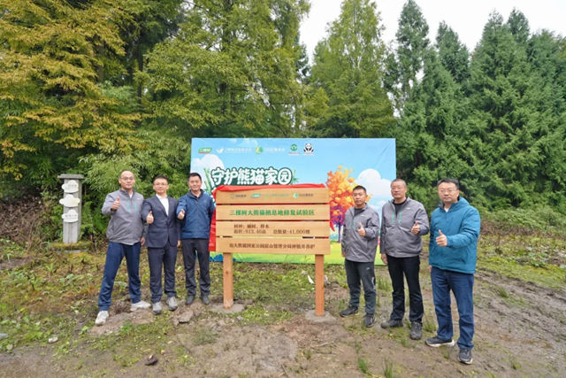 国际生物多样性日丨三棵树解锁公益新玩法，邀您为大熊猫家园添绿