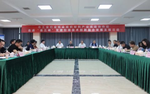 党建引领创新融合 互学共建共促发展——市材料产业党建共建互学活动走进渝三峡