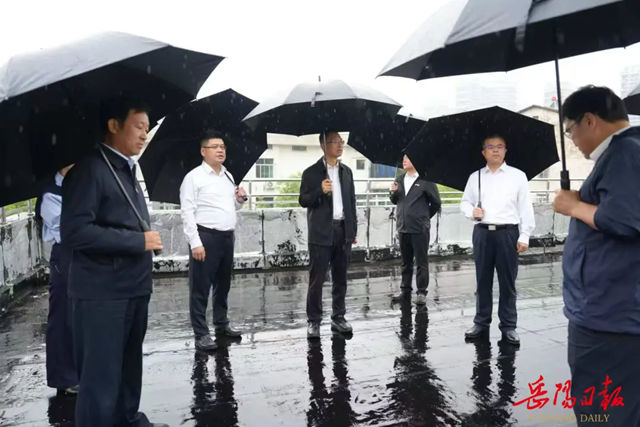 湖南省委副书记岳阳市委书记谢卫江莅临倍特尔督导安全生产与生态环保工作