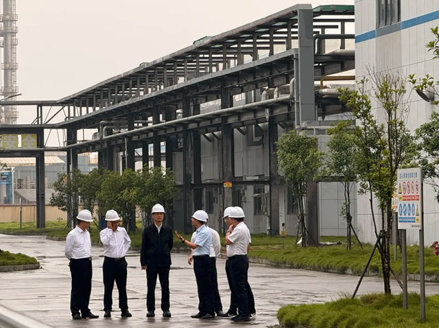 湖南省委副书记岳阳市委书记谢卫江莅临倍特尔督导安全生产与生态环保工作