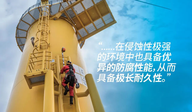 不只是表面,海虹老人为海上风电桩基础提供战略性保护