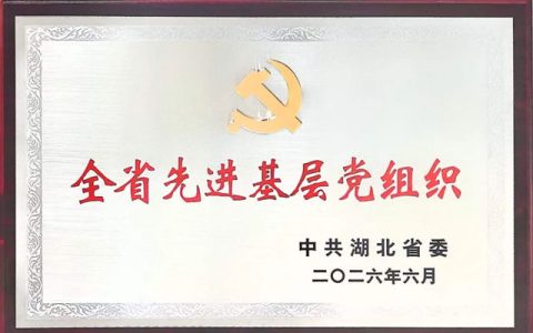 党旗领航实干争先！湖北九阳党支部获评全省先进基层党组织