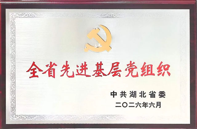 党旗领航实干争先!湖北九阳党支部获评全省先进基层党组织