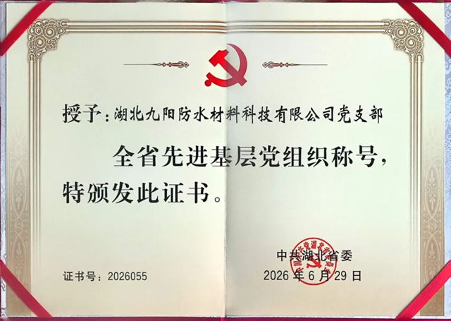 党旗领航实干争先!湖北九阳党支部获评全省先进基层党组织