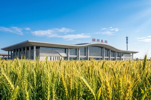 三棵树第十届“金漆匠”杯工程获奖榜单揭晓！
