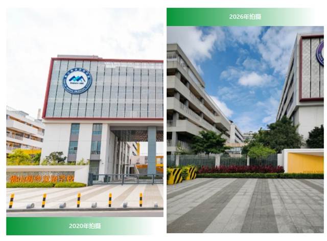 三棵树第十届“金漆匠”杯工程获奖榜单揭晓！