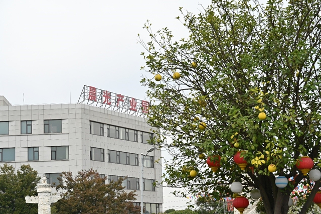 战略晨光|缪国元:以长期主义锚定涂料产业高质量发展新坐标