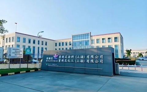 再登央视！紫荆花四十余年深耕铸就品牌韧性