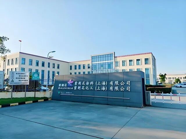 再登央视!紫荆花四十余年深耕铸就品牌韧性