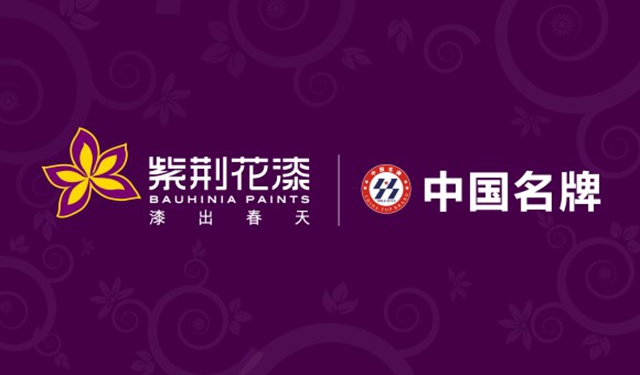 再登央视!紫荆花四十余年深耕铸就品牌韧性