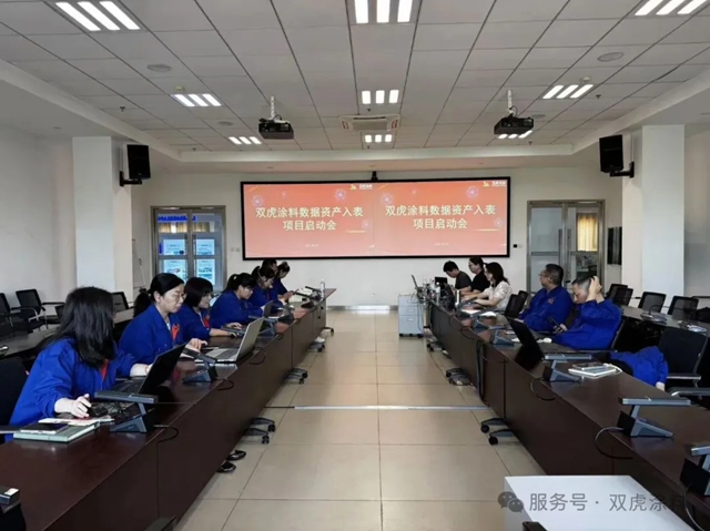 数据资产入表项目正式启动，双虎涂料加速迈向"数据价值化"新征程