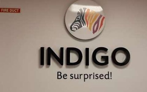 净利大增60%却主动让利，Indigo Paints踩油门抢份额