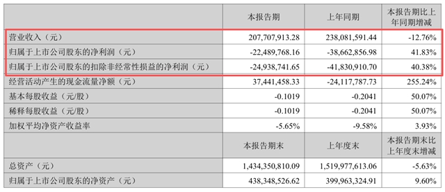 亏损收窄42%,新能源激增144%!飞鹿股份上半年强势突围