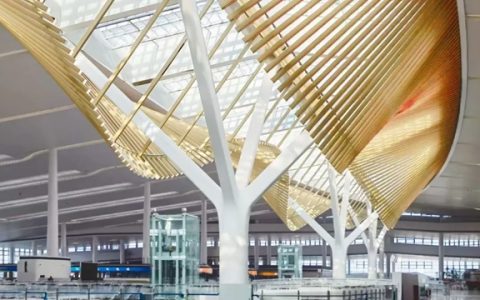三棵树再携中国院，助力厦门翔安国际机场建设