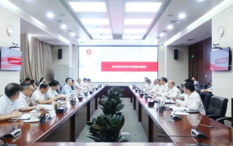 芜湖市委书记徐志一行到访中国建材集团