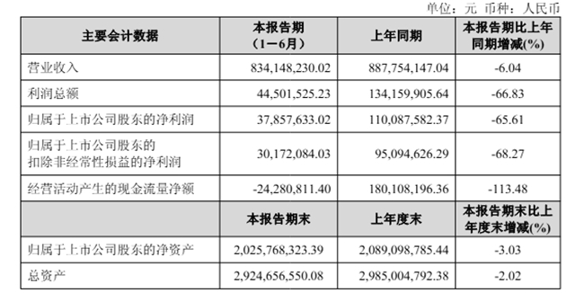 麦加芯彩半年报出炉：净利下滑65.6%，营收8.34亿元