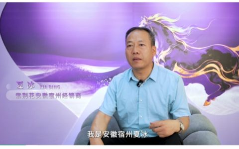 实干者说 | 二十年不换地方，不换品牌——安徽宿州紫荆花经销商夏冰的坚守与手艺