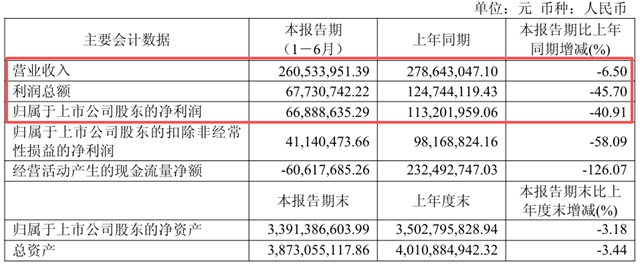 佳驰科技半年报出炉：营收微降6.5%，净利为何骤降40%？