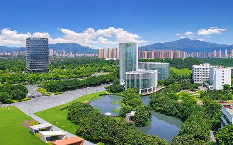 零售高增占比超50% 三棵树2026上半年经营质量保持韧性