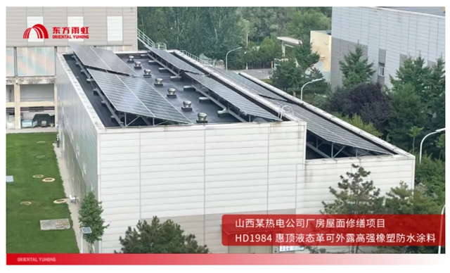 东方雨虹: 以龙头之力，引领中国建筑修缮行业新发展