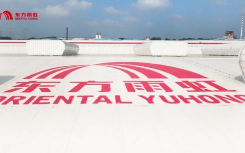 以专业对话专业，以匠心回应时代丨行业专家团走进东方雨虹青岛生产研发物流基地