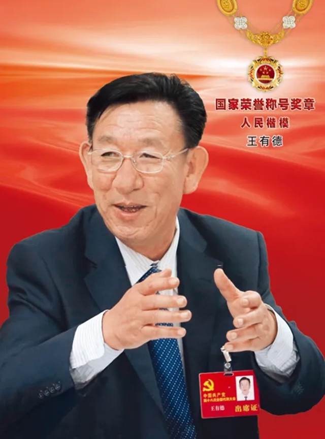 从一棵树到一片林,展辰邀您共赴绿色之约