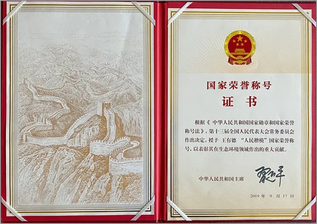 从一棵树到一片林,展辰邀您共赴绿色之约