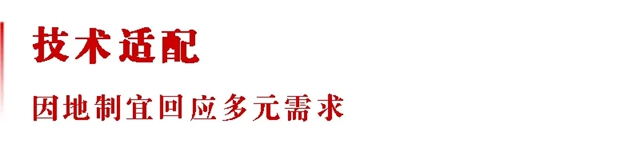 东方雨虹:深耕全球市场,迈向价值共生