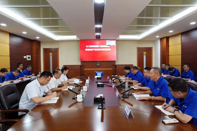 七二五所党委第二巡察组向双瑞涂料产业党总支反馈巡察意见