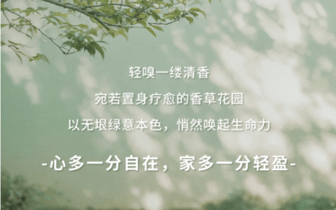 多乐士2027年度色“栖心绿”重磅发布，共筑身心栖息地