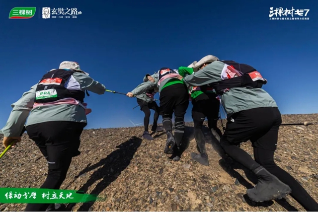 绿动戈壁 树立天地|三棵树戈7荣耀落幕:焕新同行 向上不止