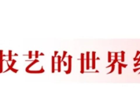 以专业品质，护航技能之巅：东方雨虹护航第48届世界技能大赛