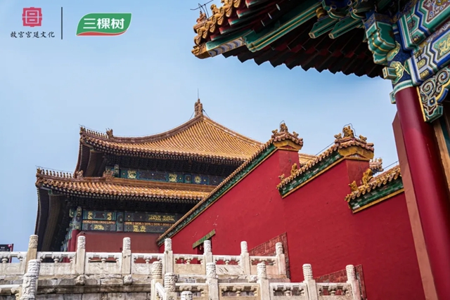 紫禁寻色 共启新章|三棵树携手故宫宫廷文化研学之旅收官