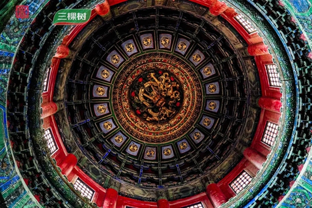 紫禁寻色 共启新章｜三棵树携手故宫宫廷文化研学之旅收官